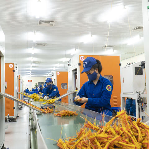 Liên tục nâng cấp hệ thống thiết bị máy móc để tăng năng suất lao động